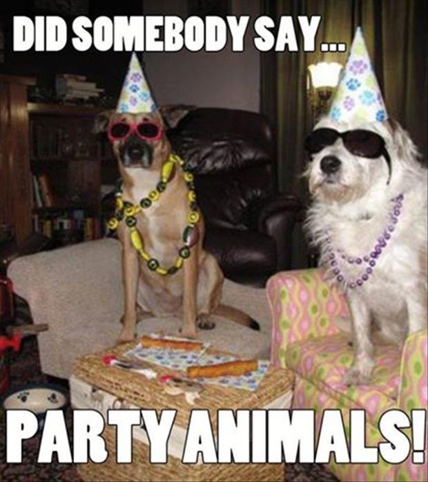 party animals