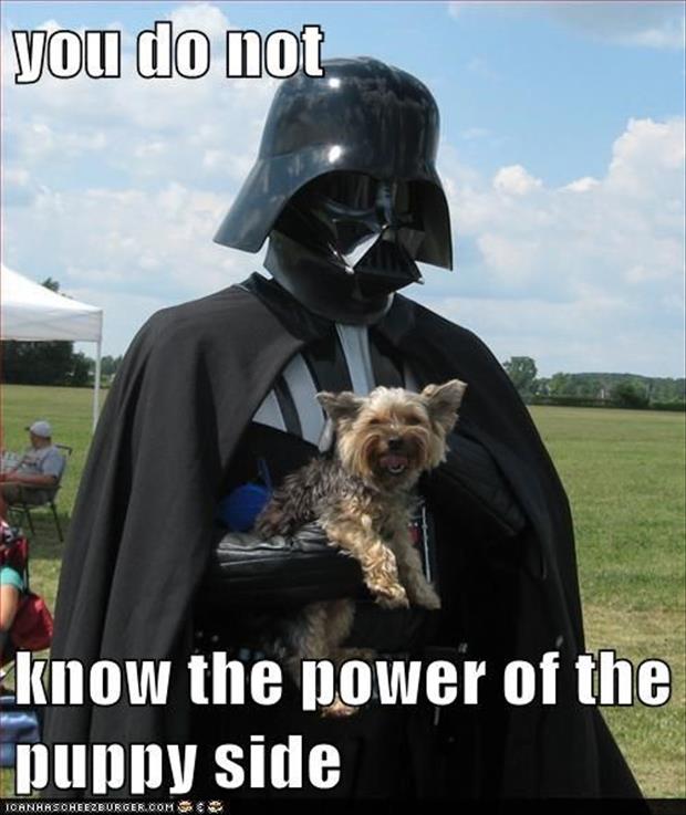 puppy and darth vadar