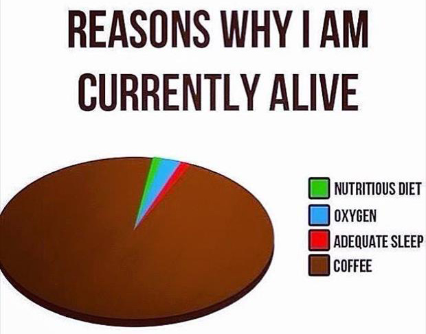 reasons I'm alive