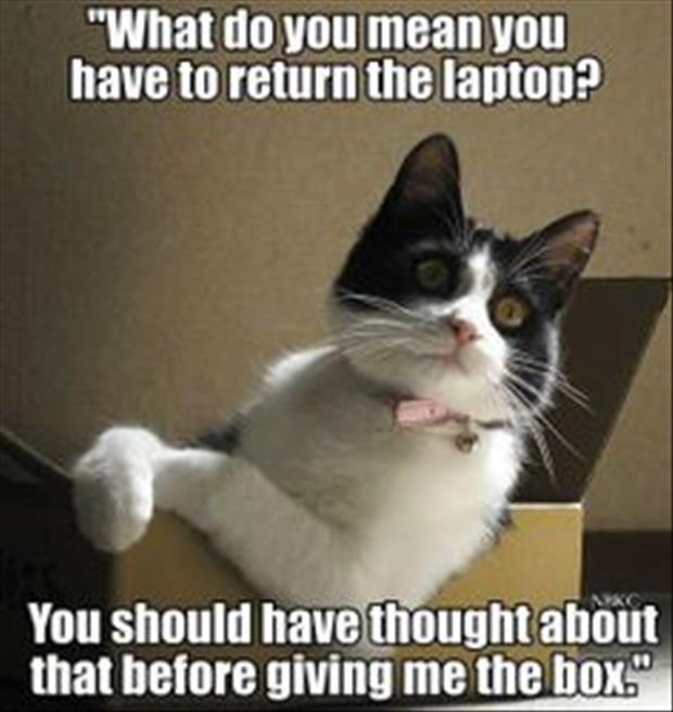 return the laptop