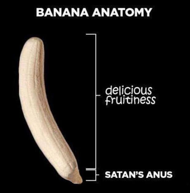 satan's anus