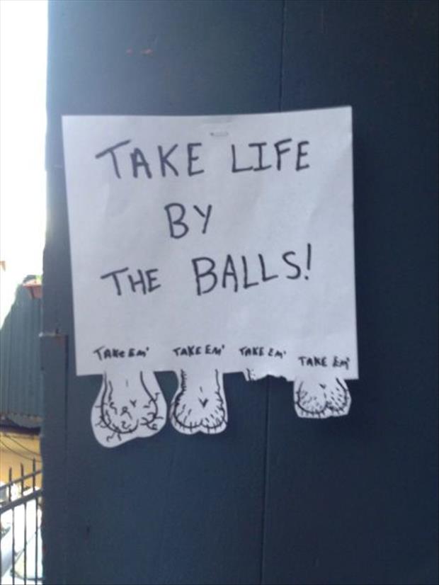 take life by the balls