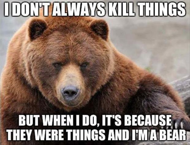 the bear kills things