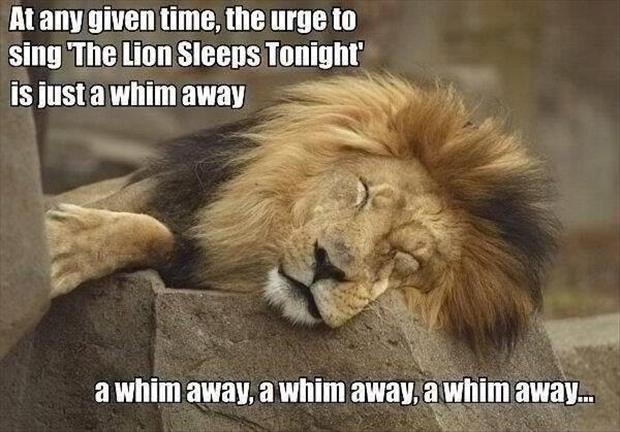 the lion sleeps tonight