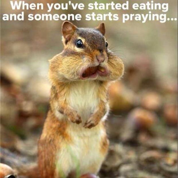 when you start eating