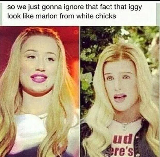 white chicks