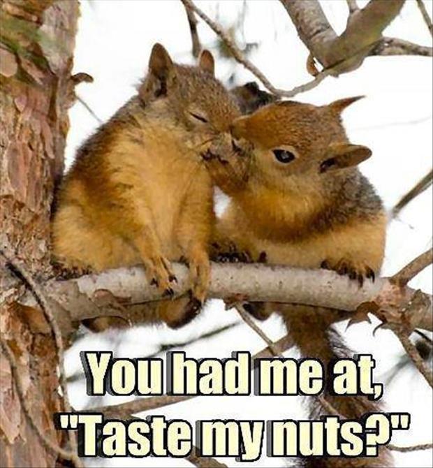 you had me at taste my nuts
