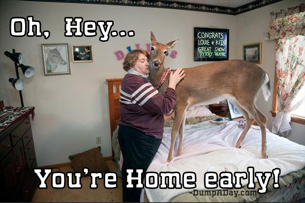 you're home early (1)