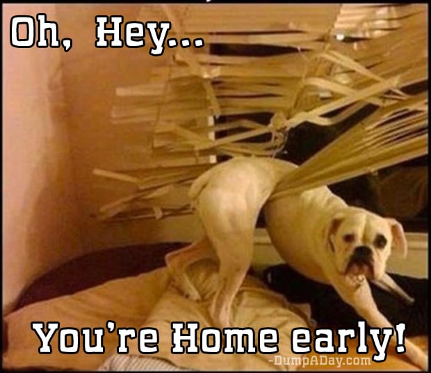 you're home early (15)