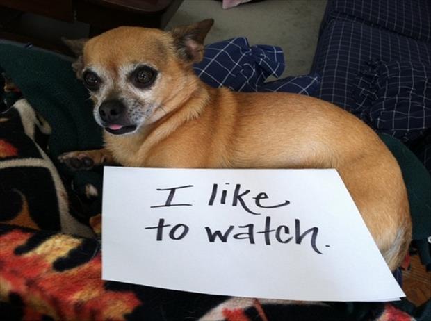 I like to watch