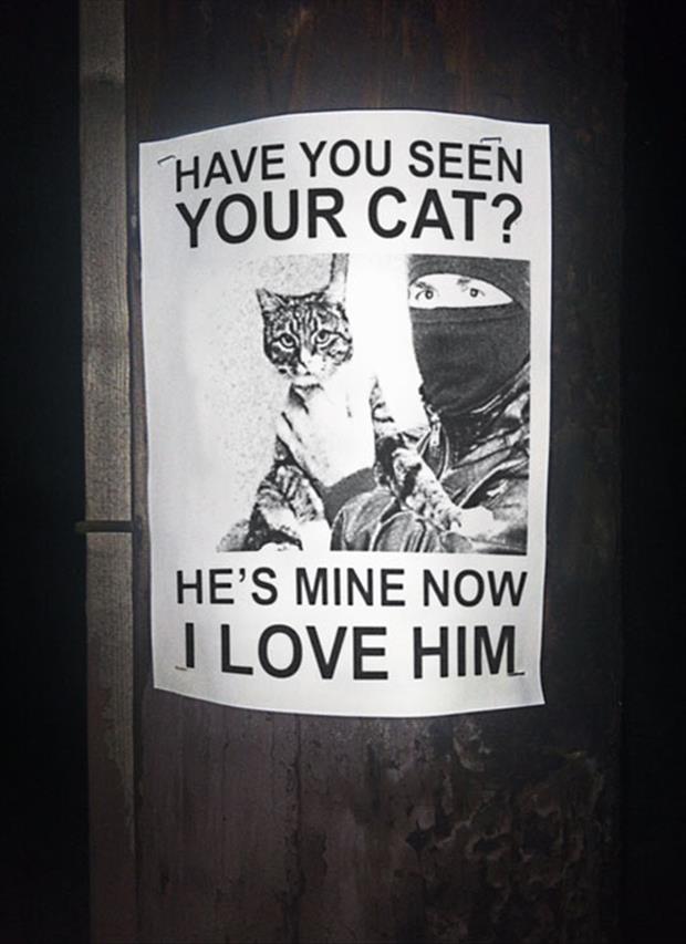 I love your cat