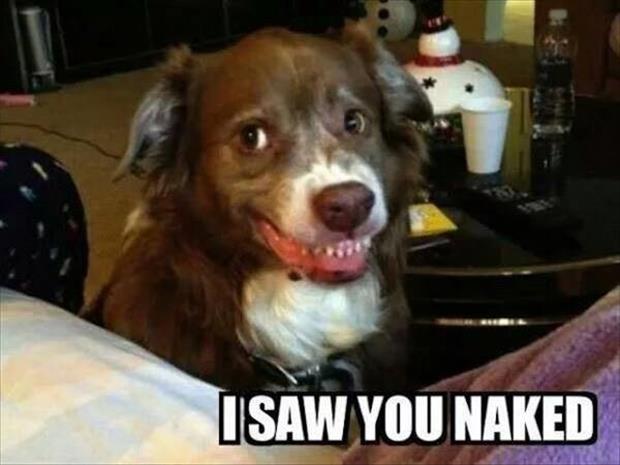 I saw you naked