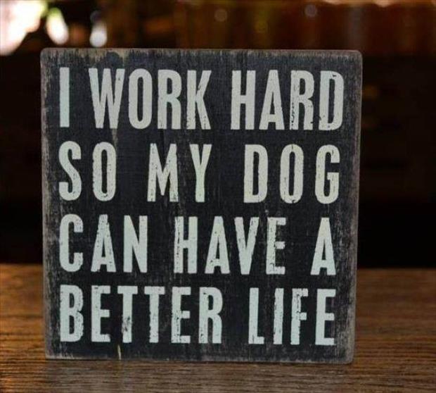 I work hard so my dog can have a better life