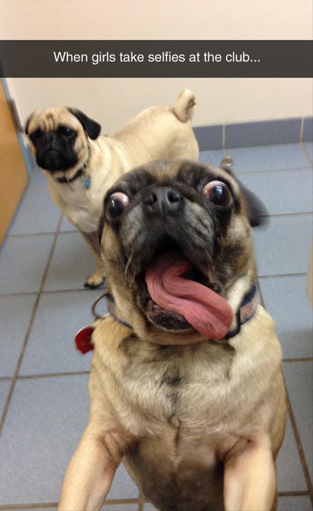 a girl taking a selfie at the club