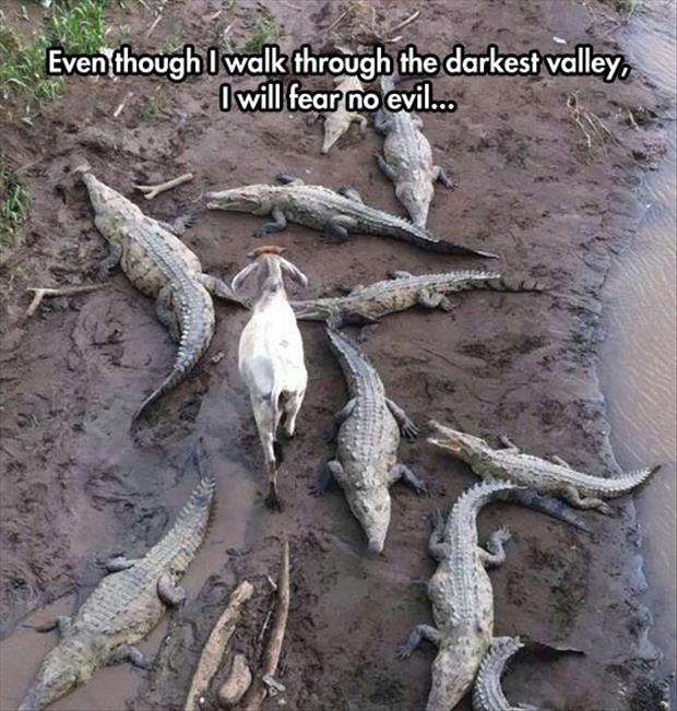 a walk through the valley of the shadow of death