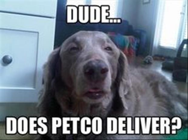 does petco deliver