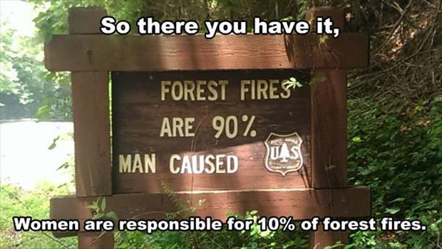 forrest fires