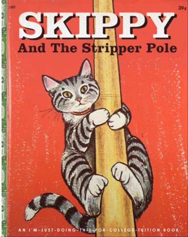 funny book titles (24)