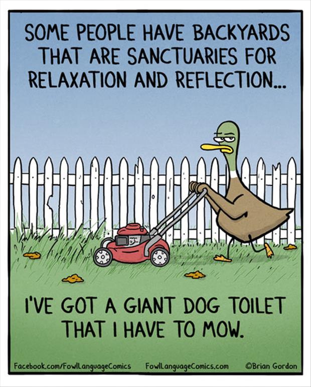 giant dog toilet