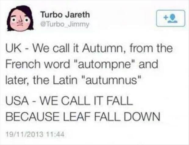 leaf fall down