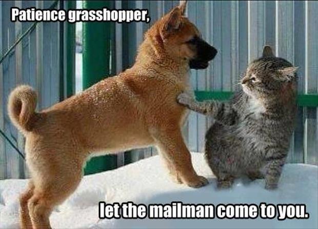 let the mailman come to you