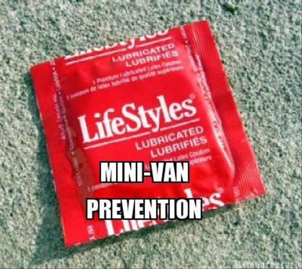 mini van prevention