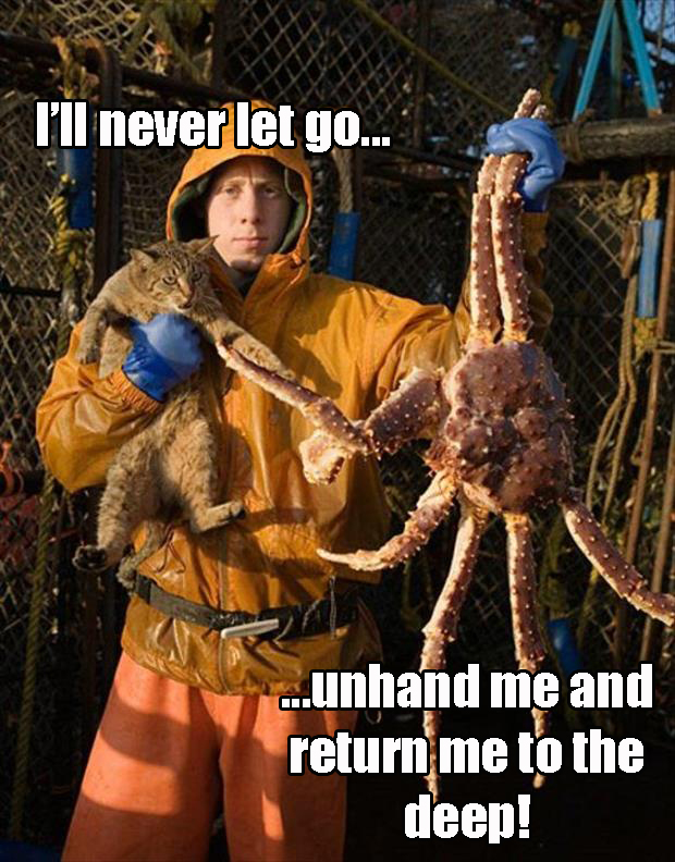 never let go meme (10)