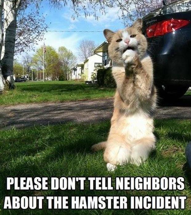 please don't tell the neighbors