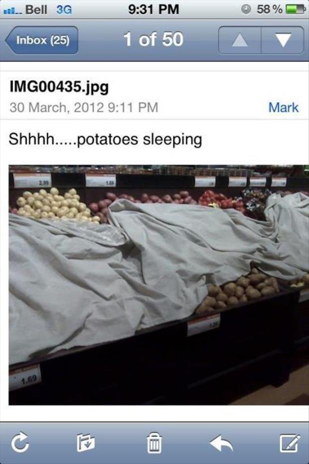 potatos sleeping