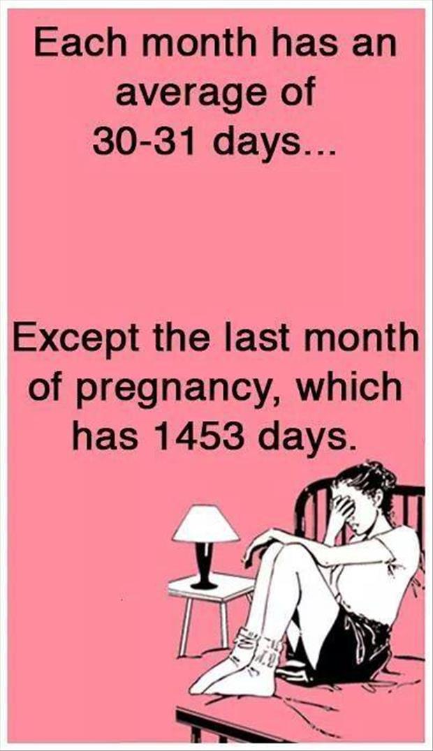 pregnancy months