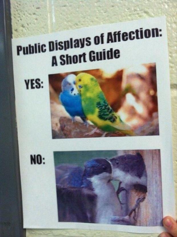 short guide