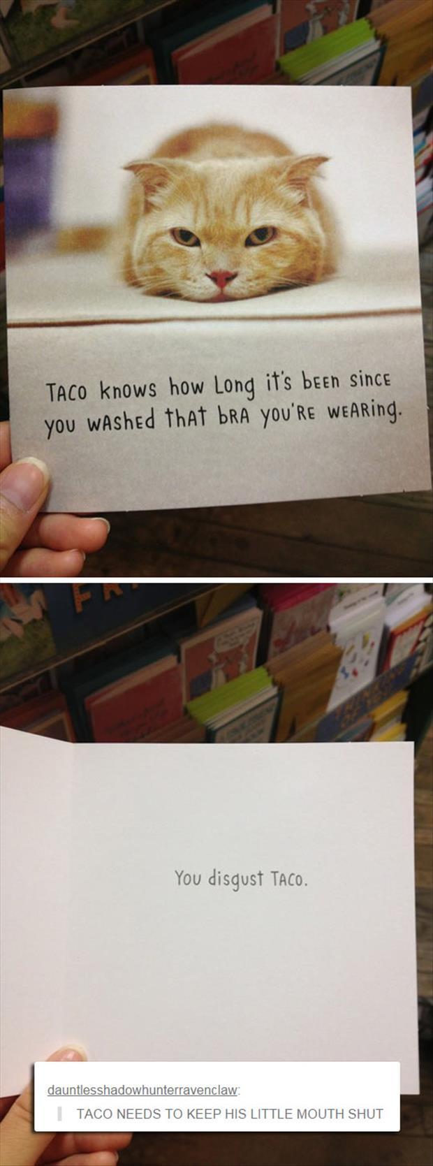 taco knows