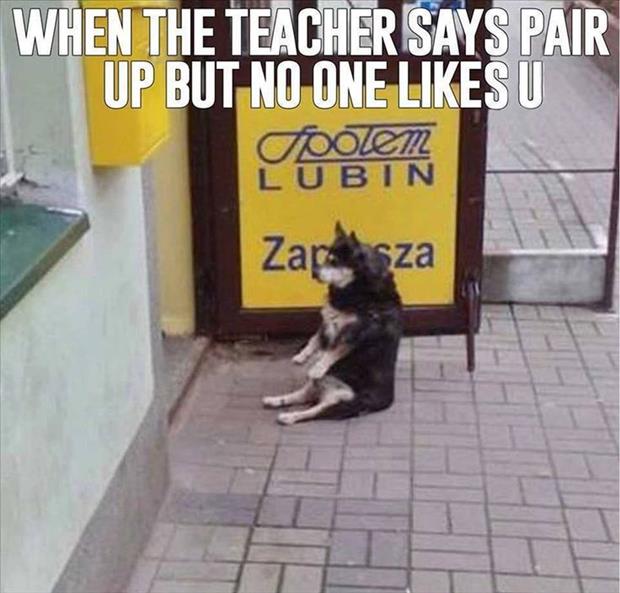 teacher says pair up