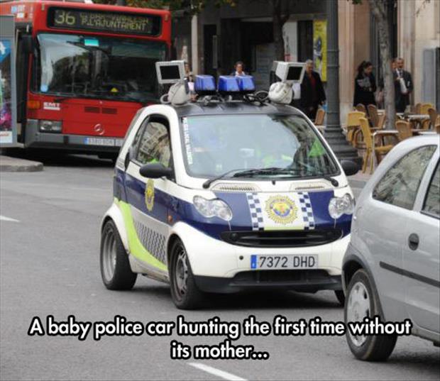 the-baby-police-car.jpg