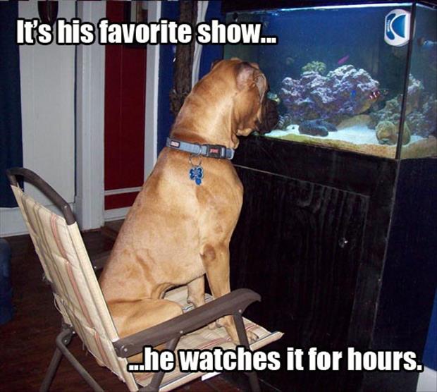 this is his favorite show