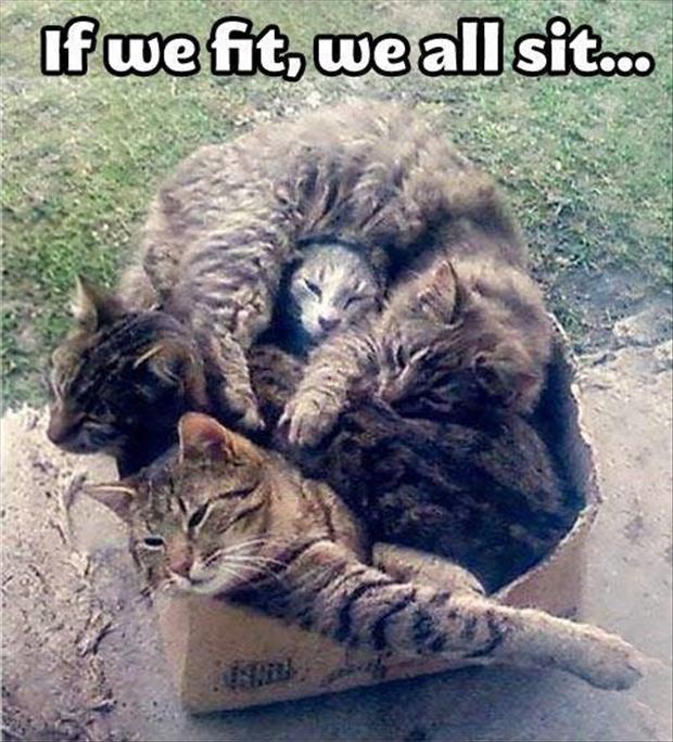 we all sits