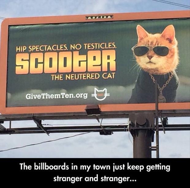 wtf billboards