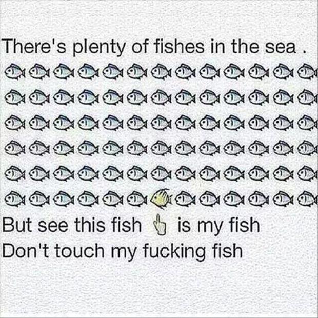 you should not touch my fish