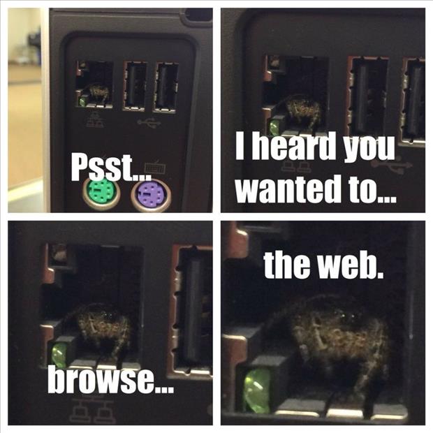 you want to browse the web