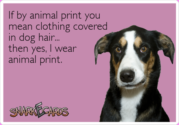 z animal print clothing