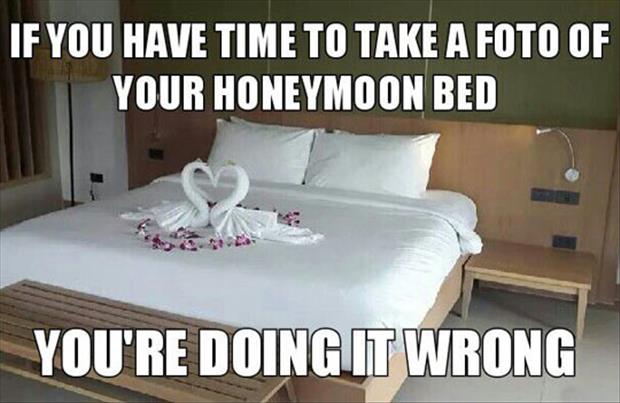 bed on honeymoon