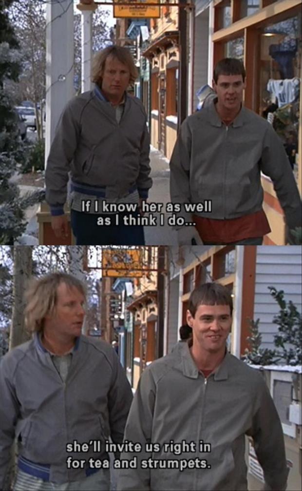 dumb and dumber quotes (10)