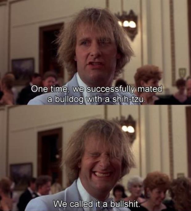 dumb and dumber quotes (12)