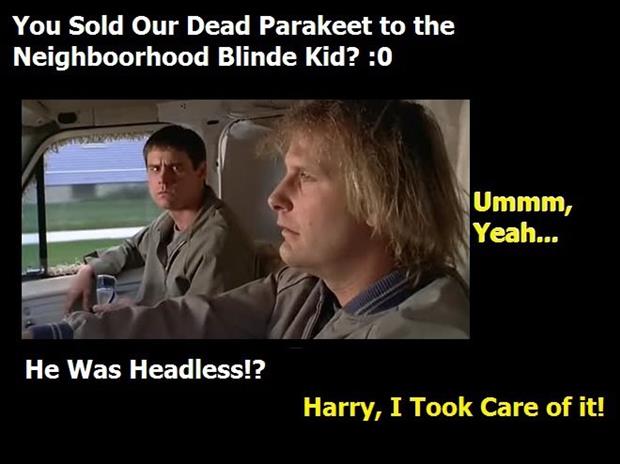dumb and dumber quotes (17)