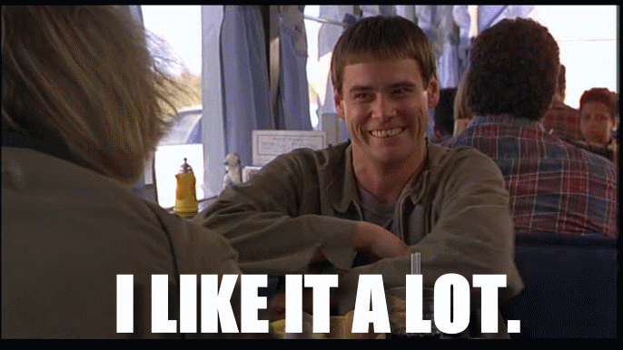 dumb and dumber quotes (6)