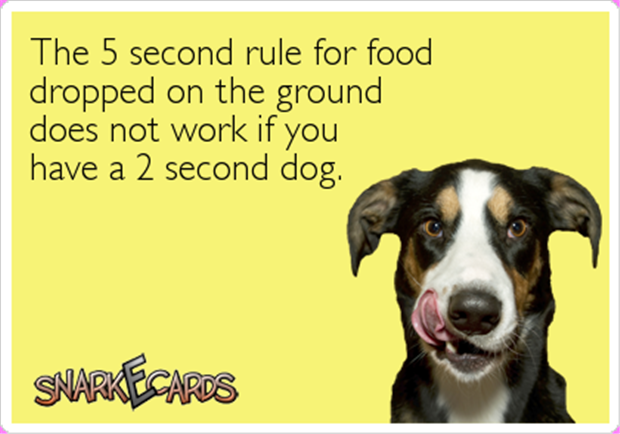 five second rule