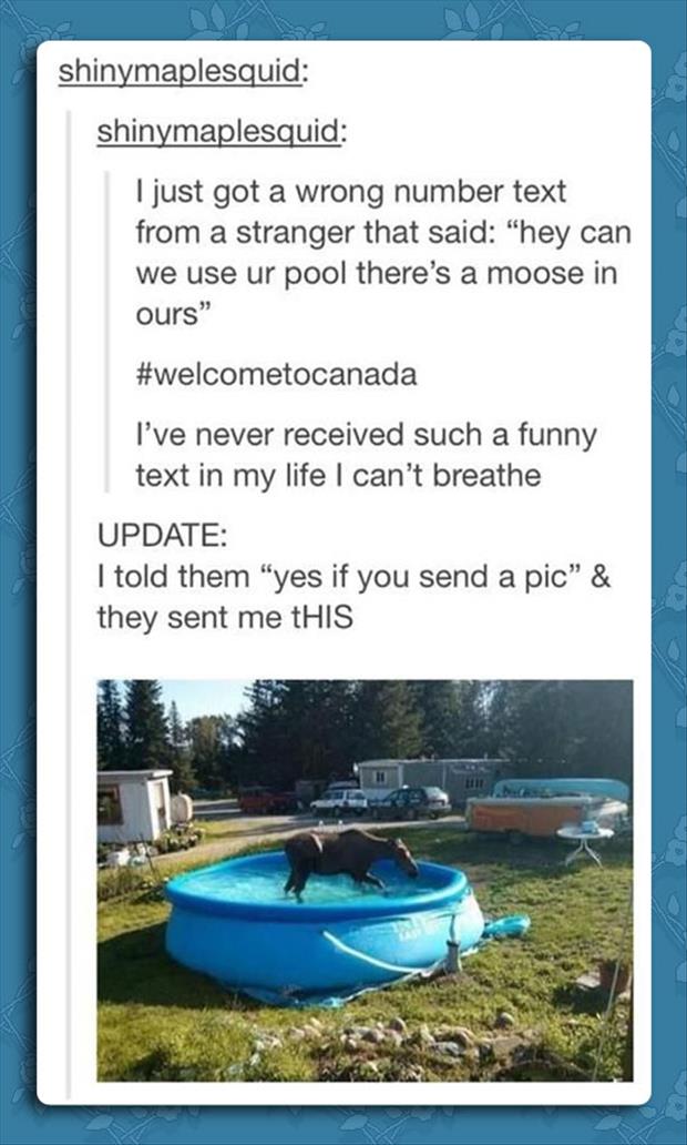 funny canadians