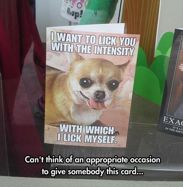 funny cards