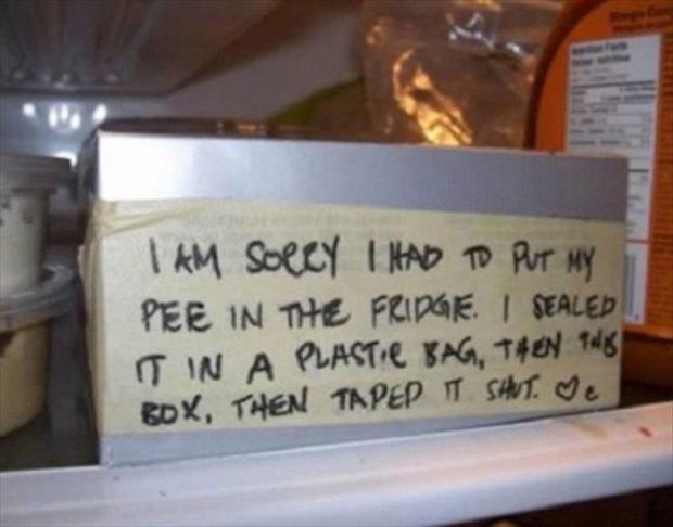 funny notes (5)