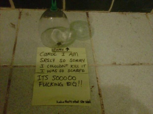 funny notes (9)
